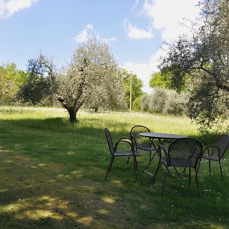 Agriturismo Testalepre Greve in Chianti Luaran gambar
