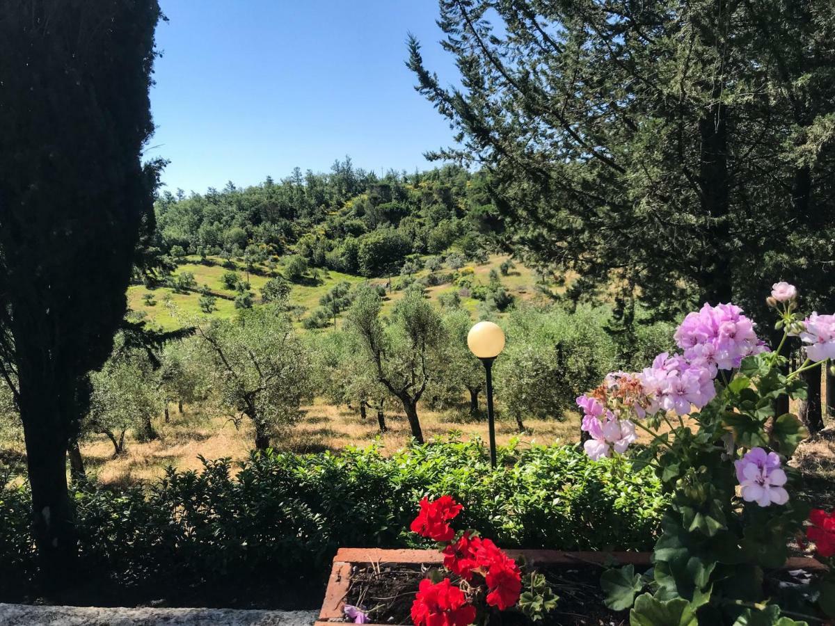 Agriturismo Testalepre Greve in Chianti Luaran gambar